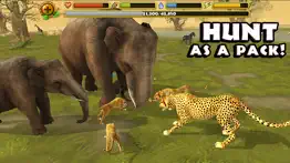 cheetah simulator iphone screenshot 2