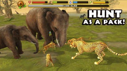 Screenshot #2 pour Cheetah Simulator