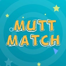 Activities of Mutt Match