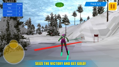 Biathlon Winter Sports 3D screenshot 2