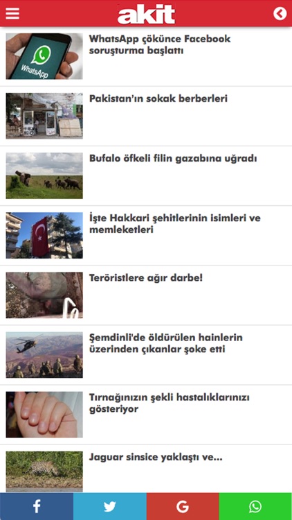 Yeni Akit screenshot-3