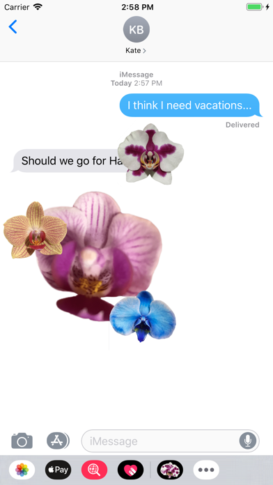 Real Orchid Stickers screenshot 4