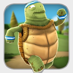 Tortoise and the Hare Algebra