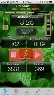 itreadmill pedometer iphone resimleri 1