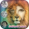 Icon Animal Face Editor