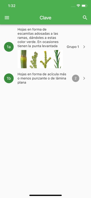 Arboles Ibericos(圖3)-速報App