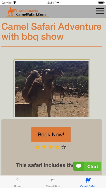 Camel Safari
