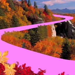 Blue Ridge Companion