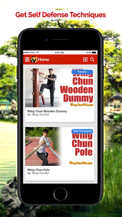 Wing Chun Kung Fu Self Defense screenshot-3