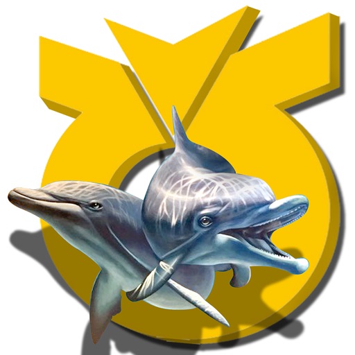 농협광주유통 움직이는 트릭아트