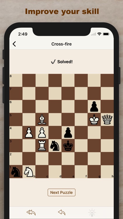Chess Puzzlers