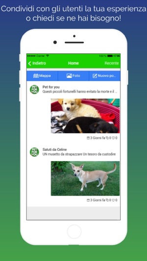 Pet for you(圖3)-速報App