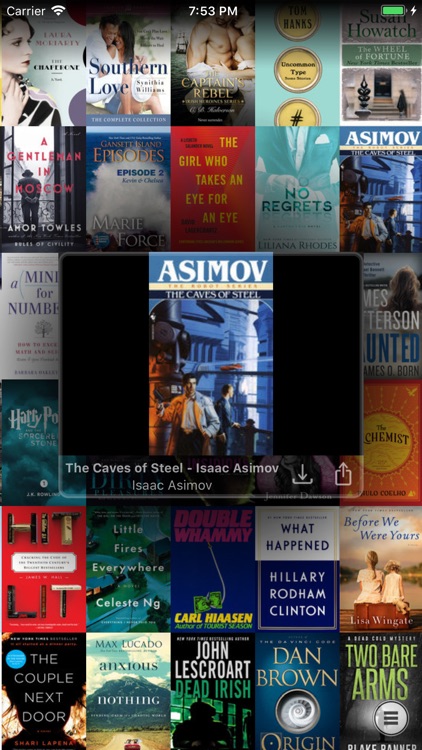 Wall Of Book