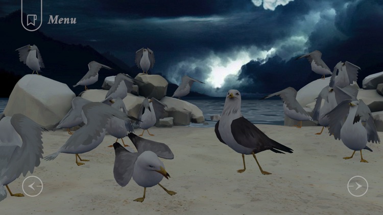 Jonathan Livingston Seagull 1