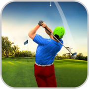 Golf Ball Shot Experts