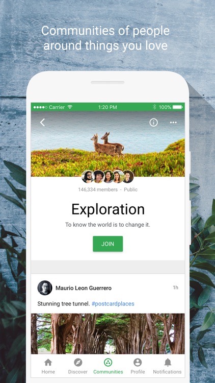 Google+