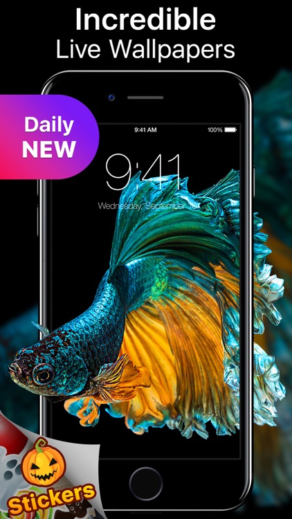 Live Wallpapers and Themes Now screenshot-0
