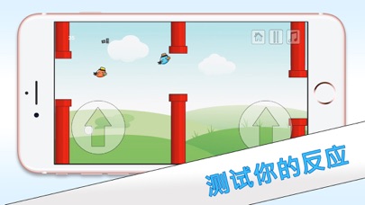 2只软盘鸟 - 双鹦鹉的乐趣 screenshot