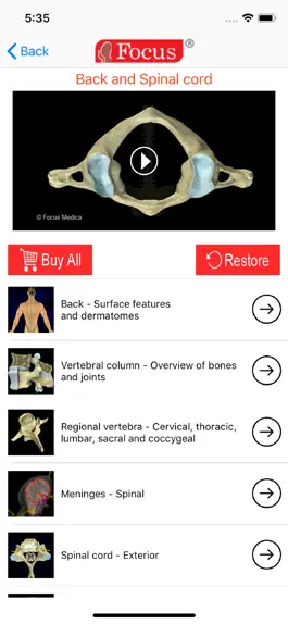 Game screenshot Back and Spinal cord apk