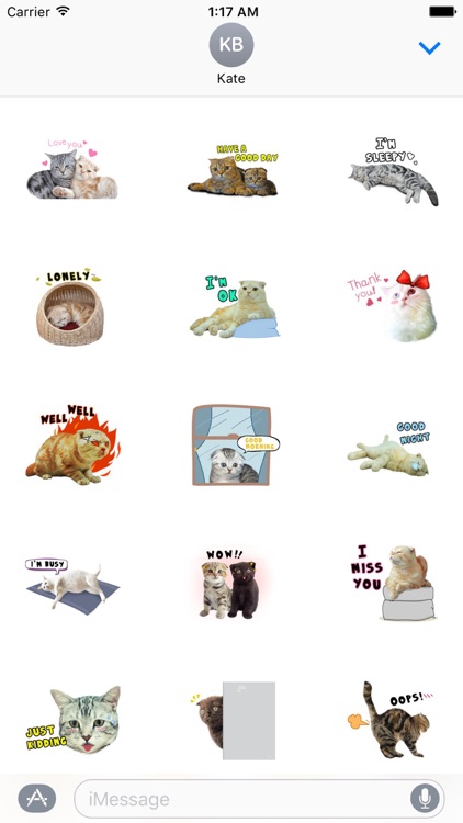 Adorable Scottish Fold Cat Sticker