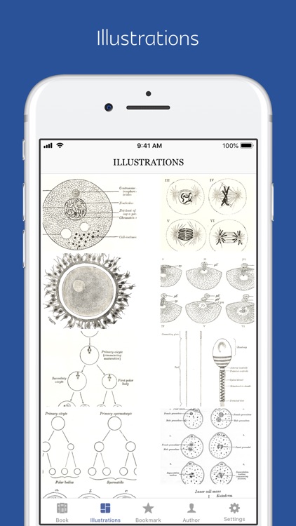 Anatomy of Human Body - audio screenshot-4