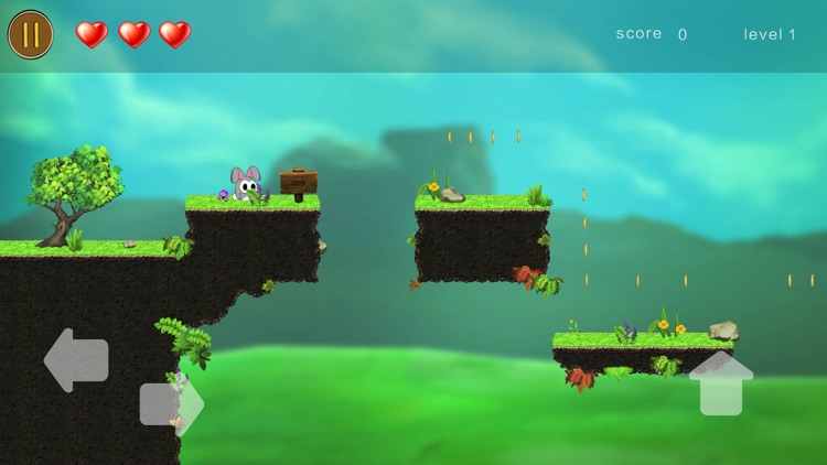 pakkey's adventure - for coin