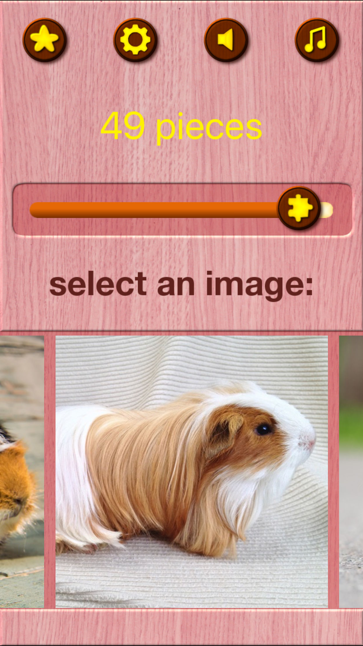 Guinea Pig Jigsaw Puzzle Games screenshot 5