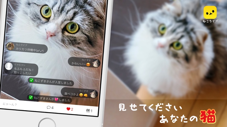 ねこライブ - 猫専用!写真,動画,ライブ配信アプリ