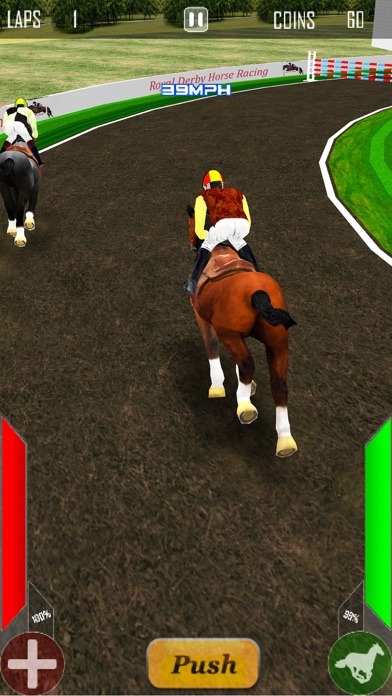 Royal Derby Horse Racing screenshot 3