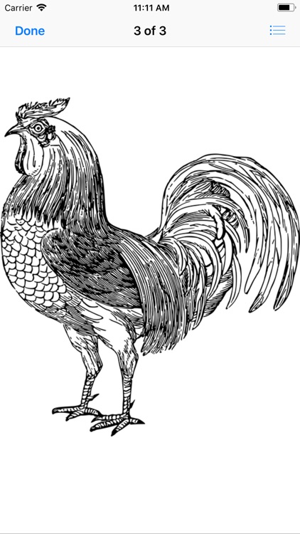 Raucous Rooster Stickers screenshot-8