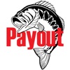 Payout icon