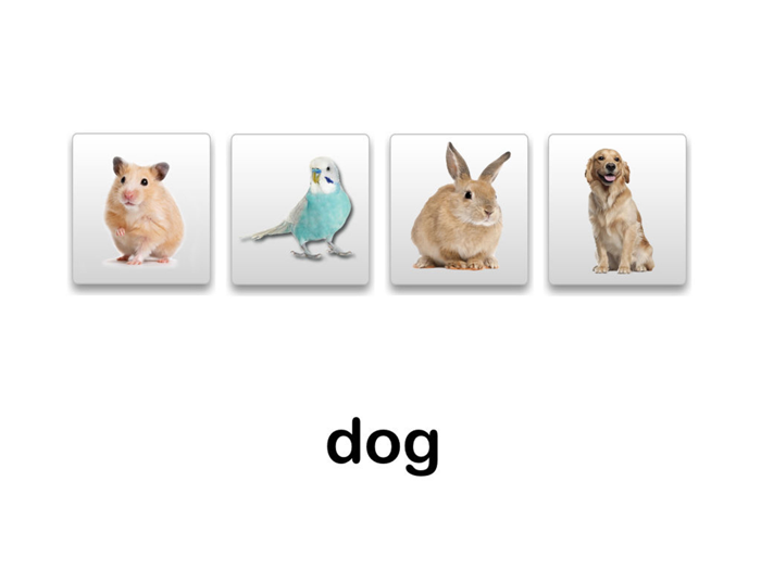 Autism iHelp – Animals