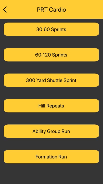 PRT: An Army Workout