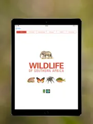 wildlife southern africa ipad images 2