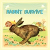 Rabbit Survive