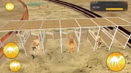 Game screenshot Desert King Camel Race apk