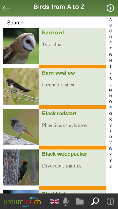 Identify live bird songs Screenshot