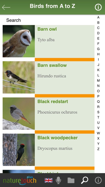 Identify live bird songs screenshot-6