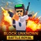 Do you want to play the fascinating battle royale game with block graphics
