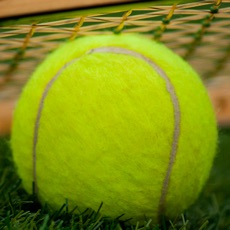 Activities of Tennis Quiz