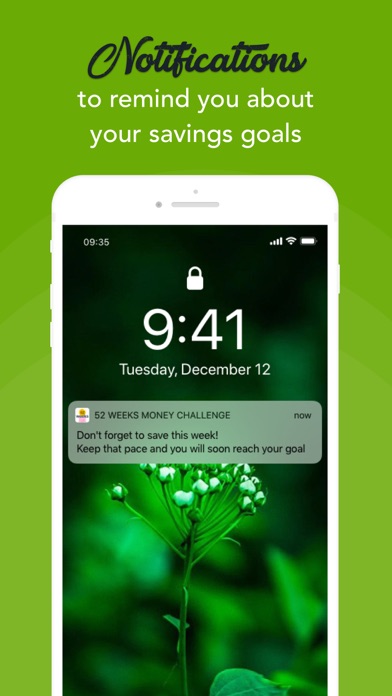52 Week Money Saving Challenge Screenshot