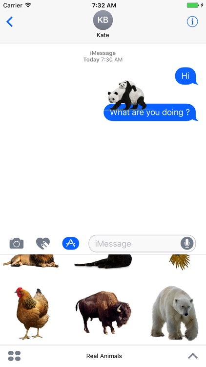 Real Animals