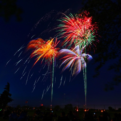 Animated Fireworks Festive App iOS App