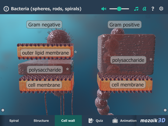 Screenshot #4 pour Bacteria 3D