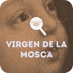 Cuadro de Virgen de la Mosca