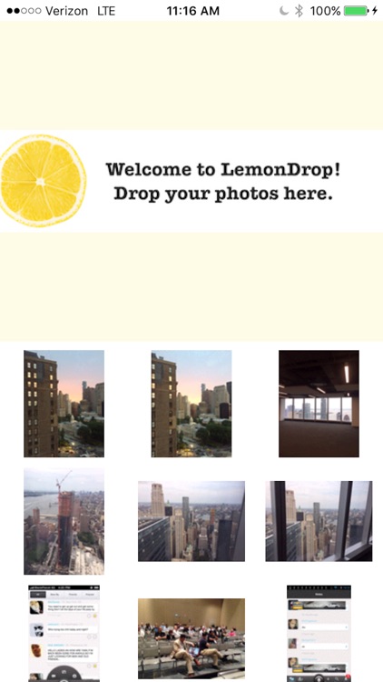 LemonDrop Photos