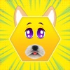 FunFace - Photo Editor, Filter