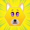 Fun Face app creates your funny, crazy and different look and impress your friends and family