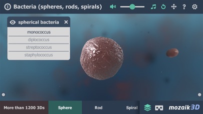 Screenshot #1 pour Bacteria 3D