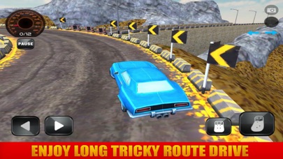 Real Muscle Driving Adventure screenshot 3